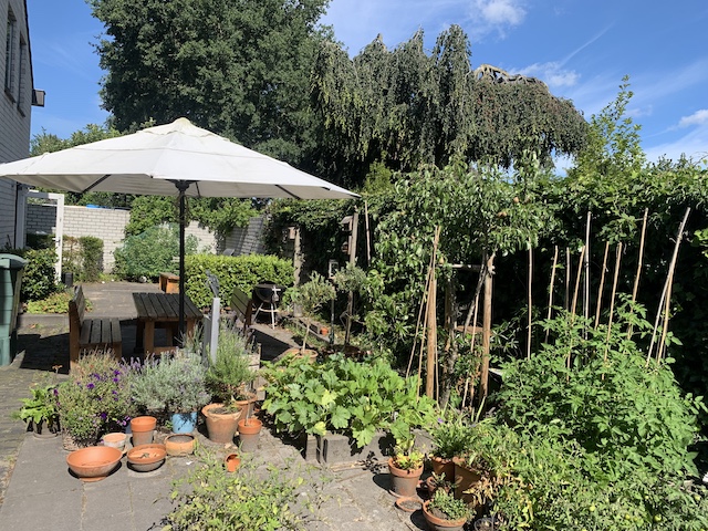 Zonnige tuin