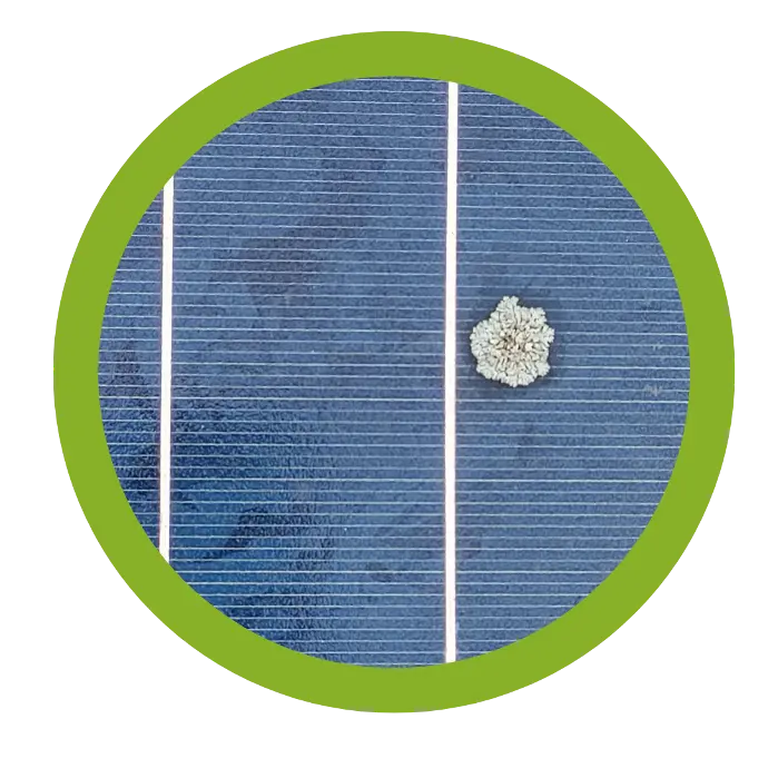 Zonnepanelen onderhoud inspectie breda