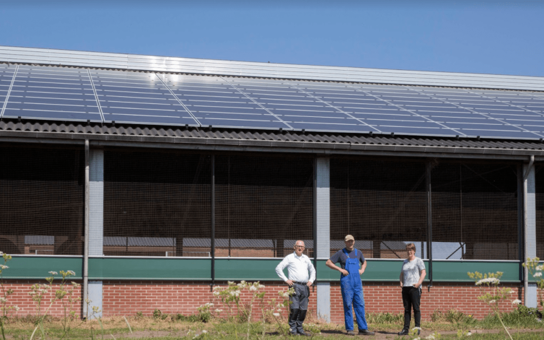 Opbrengst 160 SunPower panelen in Made